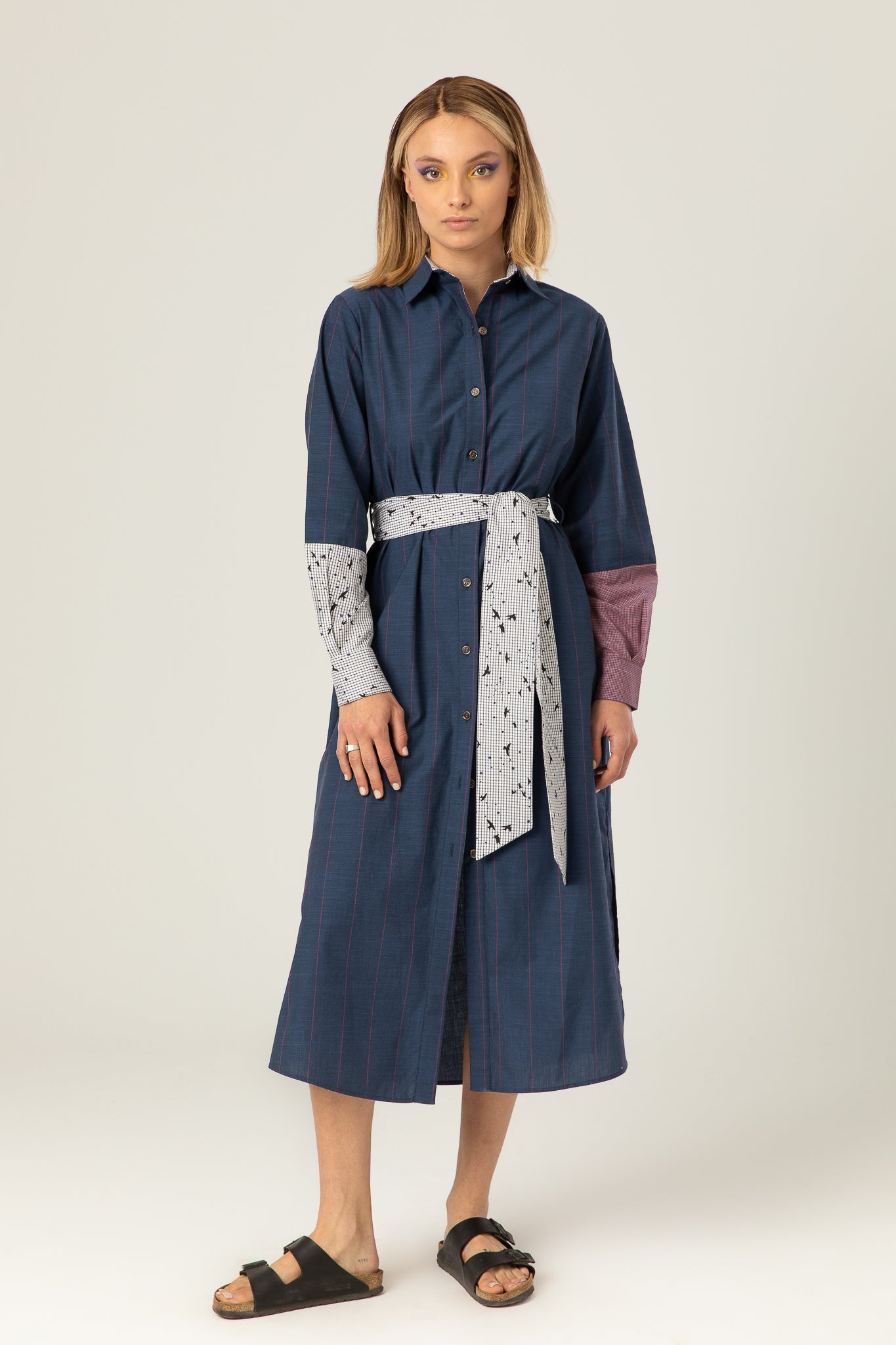 The Park Shirt Dress | Blue with red stripes