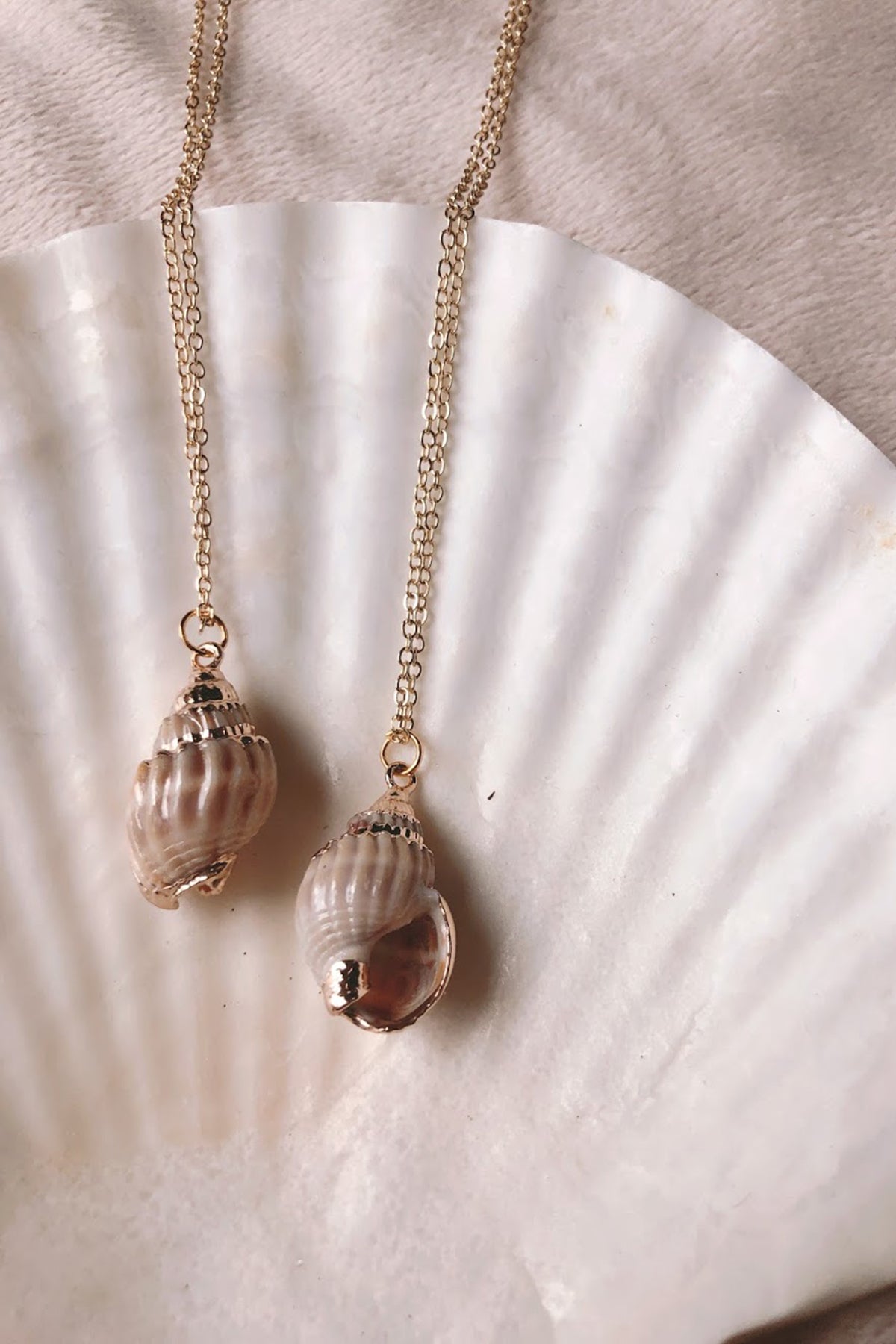 Gold Dipped Seashell - ShopAuthentique